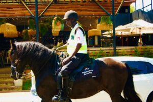Horse Riding in The Village