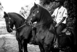 TRP_0554-211